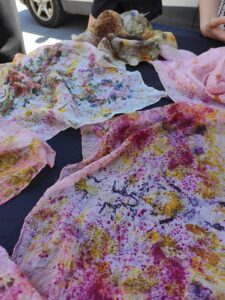IMG_20240629_113726